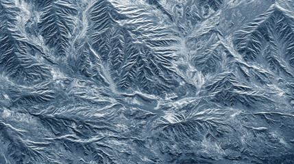 Obraz premium A mesmerizing aerial view of a frozen landscape, showcasing intricate patterns of ice and snow that resemble leafy branches spreading across the terrain.
