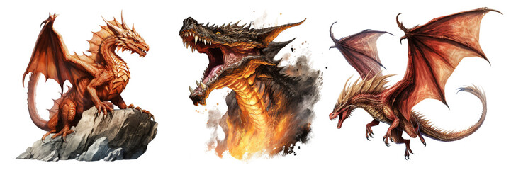 Collection of dragon isolated on transparent or white background