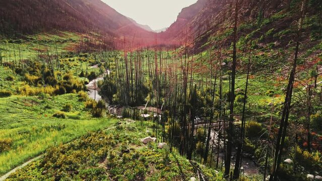 Roaring Lion Canyon Wildfire Burn Area in Bitterroot Mountains, Montana