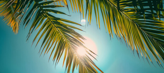 Serenity in Nature, Silhouetted Palm Leaves under Azure Skies