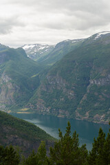 Norwegian fjord mountain nature view with river on a cloudy summer day.