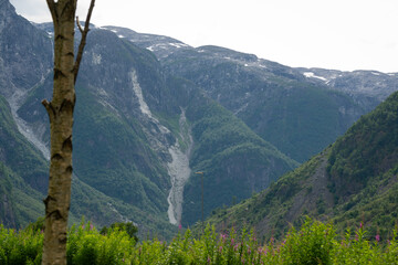 Nature view of Norwegian fjord mountains with rocks on which green trees grow and there was an avalanche of snow.