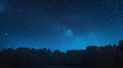 Blue dark night sky with many stars above field of trees. Milky way