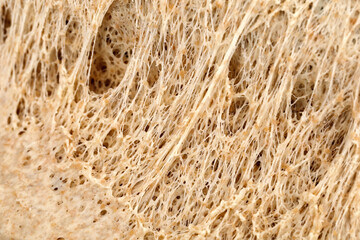 close-up of yeast dough made from whole grains, Wheat proteins give dough its sticky properties,...