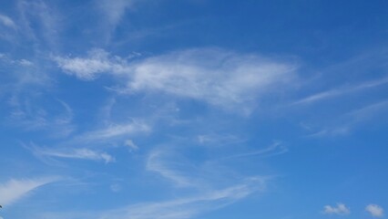 Obraz premium 青空に不規則に浮かぶ筋雲
