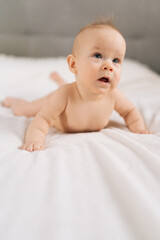 Vertical shot of cute little baby girl lying on stomach on bed, learning to hold head. Portrait of nice newborn naked baby looking interestingly away with open mouth. Carefree healthy babyhood concept