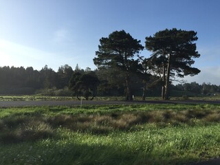 Prairie Near the Redwood Coast in Northern California