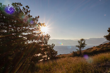 Naklejka premium Coastal hiking trail along golden grass meadow illuminated from first morning light in Baska, Krk Otok, Primorje-Gorski Kotar, Croatia, Europe. Deserted landscape. Tranquil serene atmosphere in summer