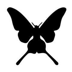 illustration of a flying butterfly