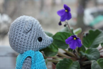 handmade accessory, knitted item