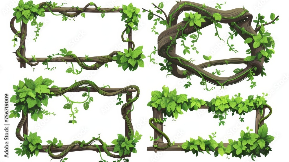 Poster cartoon modern rain forest tree stem in rectangular and circular shapes. jungle climbing plant vine 