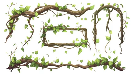 Foto op Canvas A cartoon modern rain forest tree stem in rectangular and circular shapes. Jungle climbing plant vine for game UI design. Frames and borders of twisted and tangled liana branches with green leaves. © Mark