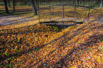Autumn walk around the park with a wooden bridge