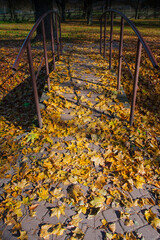 Autumn walk around the park with a wooden bridge - 756719801