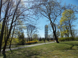 Baum und Aussichtsturm