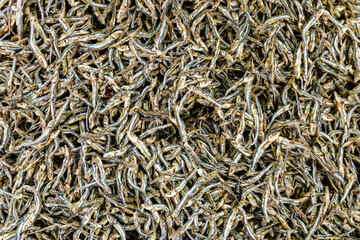 Texture of the dried capelin fish. Seafood background