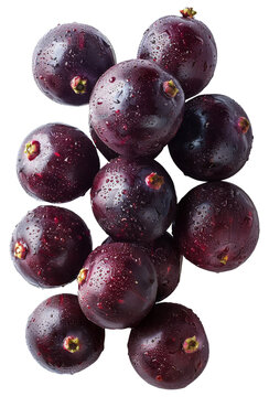 Whole black acai berrie with water droplets on transparent background - stock png.