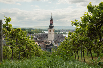 Idylle am Rhein: Kirchturm von Rüdesheim umgeben von Weinbergen