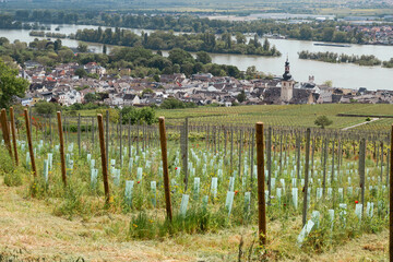Idyllische Weinlandschaft mit malerischem Dorf am Flussufer