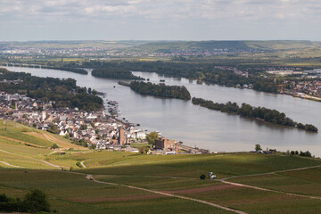 Panorama von Rüdesheim am Rhein in einer malerischen Landschaft im Rheintal.