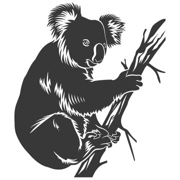 Silhouette Koala Animal Black Color Only Full Body 