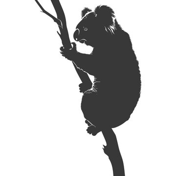 recommend clip art: Silhouette koala animal black color only full body 