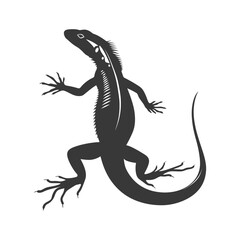 Fototapeta premium Silhouette lizard animal black color only full body