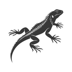 Fototapeta premium Silhouette lizard animal black color only full body