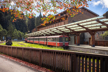 Colorful Japanese autumn vibe of a train station in the Alishan forest park, central southern...