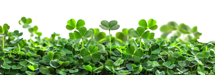 Lush green clover field symbolizing growth and luck on transparent background - stock png.