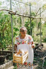 Portrait of an elderly woman standing on a farm in Mexico holding a box of tomatoes and looking at the camera.