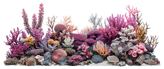 Panoramic view of vibrant colorful coral reef biodiversity, cut out - stock png.