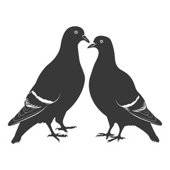 Silhouette pigeon bird animal couple pigeon black color only