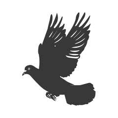 Silhouette pigeon bird animal fly black color only
