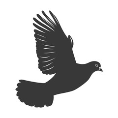 Silhouette pigeon bird animal fly black color only