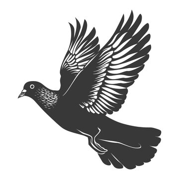 recommend clip art: Silhouette pigeon bird animal fly black color only