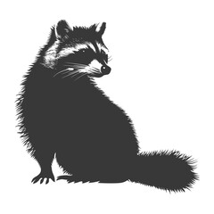 Silhouette Raccoon Animal black color only full body