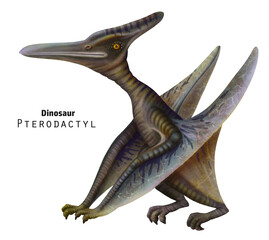 Pterodactyl illustration. Sitting dinosaur with its wings folded. Grey dino - 756734630