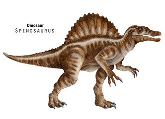 Spinosaurus illustration. Dinosaur with crest on back. Brown, beige dino