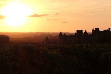 Obraz premium Sunset view of the fortified city of Carcassonne, from the vineyards. Medieval architectural complex restored by Viollet-le-Duc. World Heritage Site by UNESCO. Aude. Occitania. France