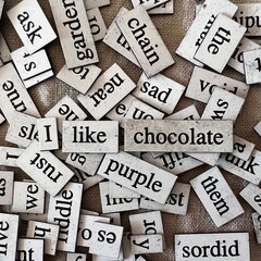 the magnet words said 