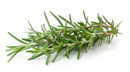 rosemary sprigs.