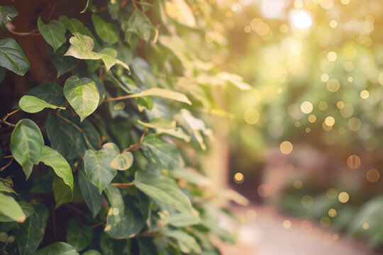 Lush green plant with abundant leaves
