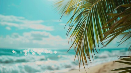Serene palm tree on sandy beach with ocean backdrop. Perfect for travel brochures