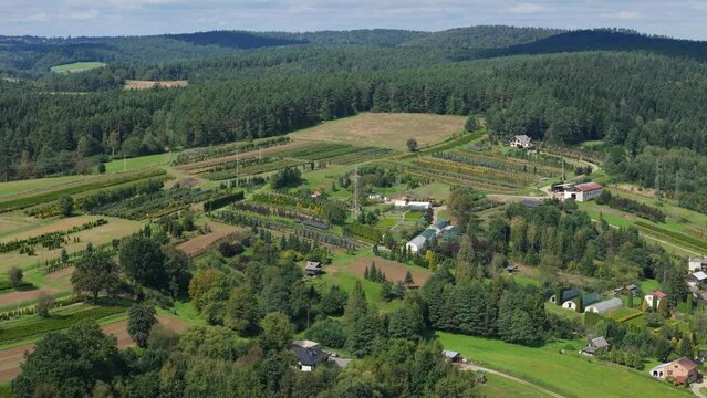 Beautiful Landscape Forest Mountains Bieszczady Bircza Aerial View Poland