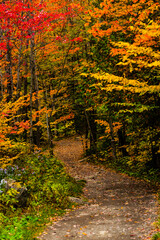 Mont Ham, Canada - September 25 2020: Autumn Forest in the Mont Ham in Quebec Canada