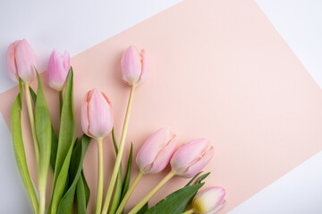 Beautiful bouquet of tulips on a light background. Place for text. Flower card