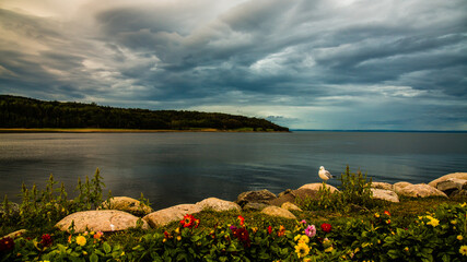 La Malbaie, Canada - August 17 2020: Stunning landscape view by the saint lawrence river in La...