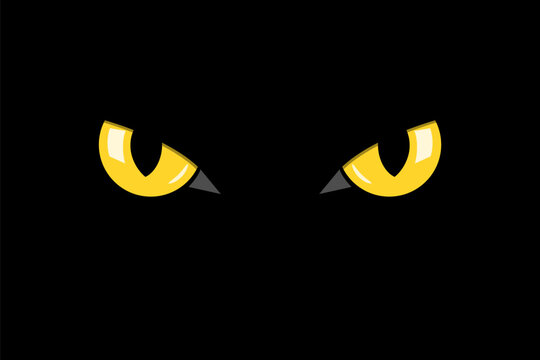 closeup cat eyes of black cat in dark night vector illustration