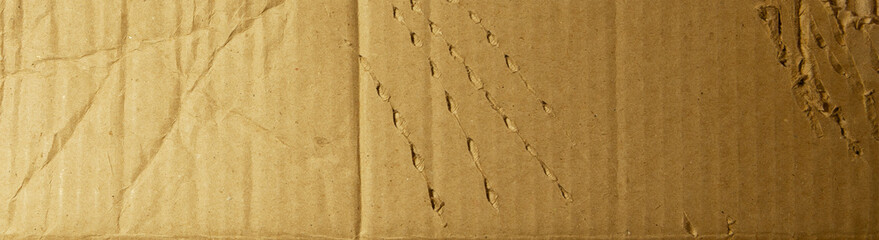 Torn, damaged cardboard or cardboard boxes, leaving claw marks. 